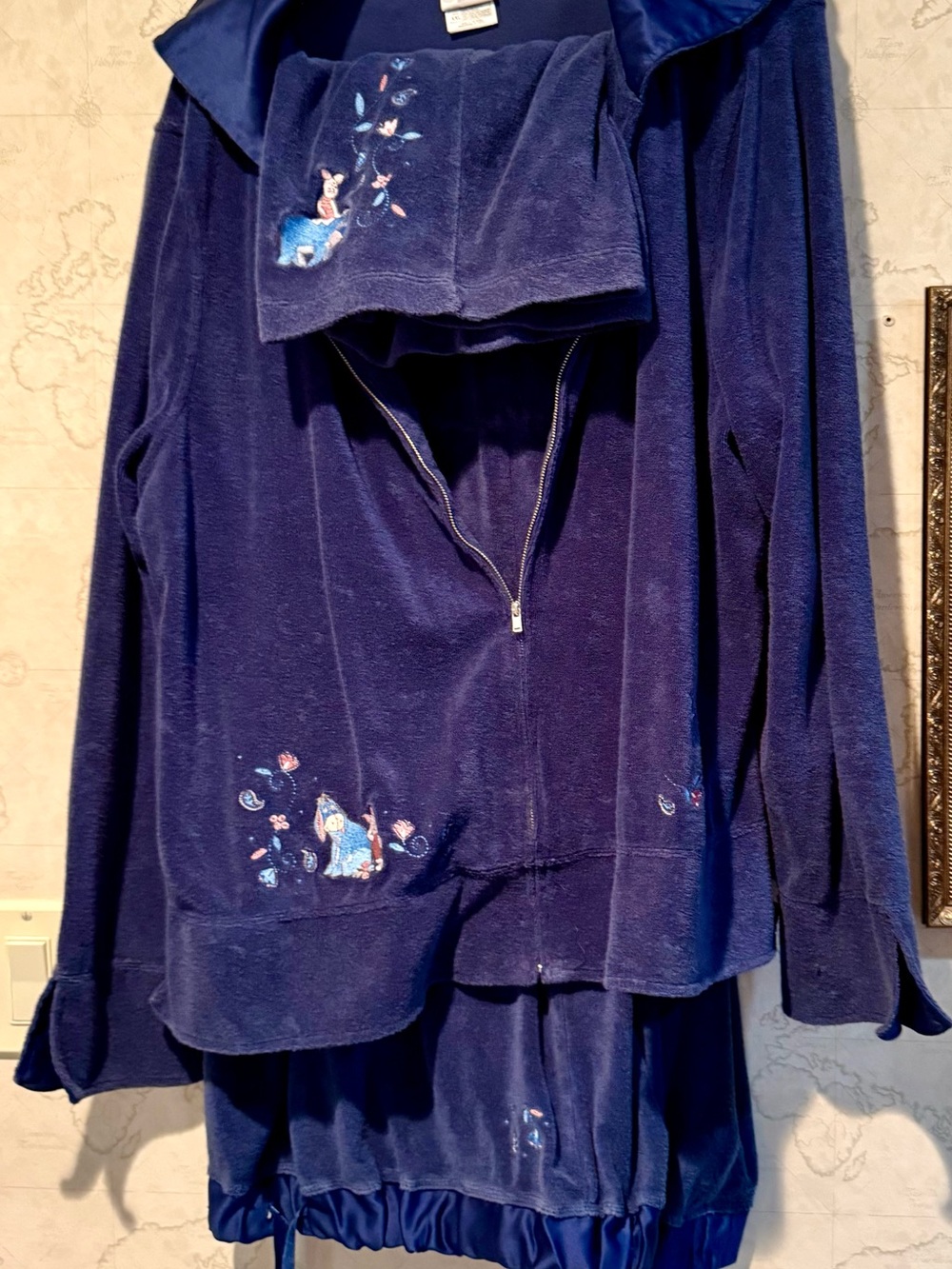Disney Blue Velour Lounge Set with Embroidered Detail